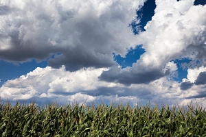 Wolken