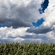 Wolken