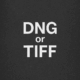 DNG oder TIFF